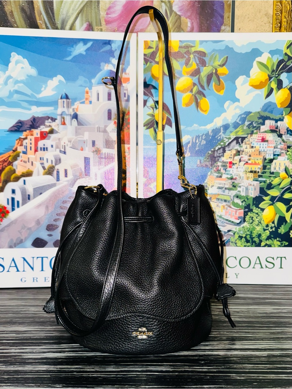 COACH Petal Tea Rose 22 Bucket Bag Black Pebble Leather - Like New 2017 (F11807) - Picture 4 of 15